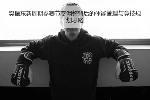 樊振东新周期参赛节奏调整背后的体能管理与竞技规划思路